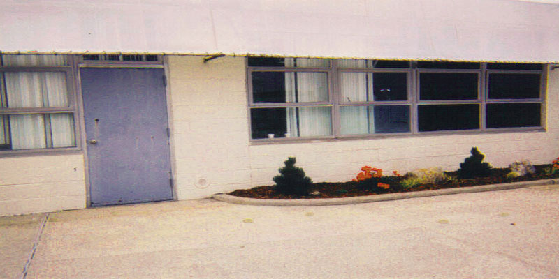 before pic applying tinting